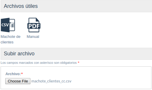 Carga masiva de clientes